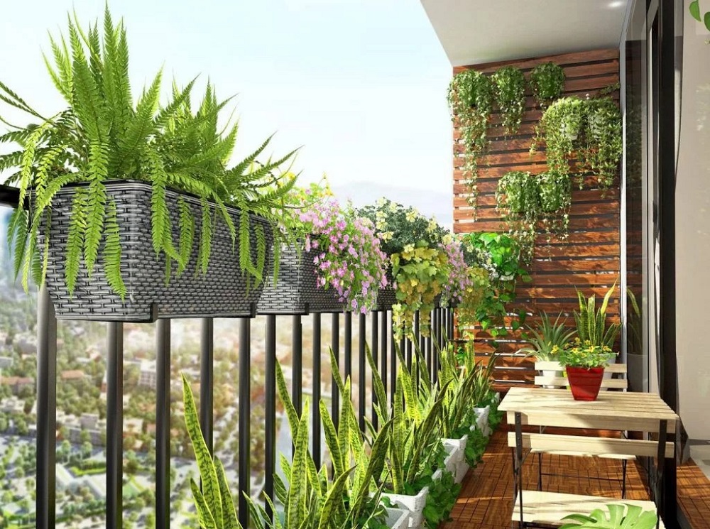 Cây thích hợp trồng nhà hướng Tây Cây thích hợp trồng nhà hướng Tây