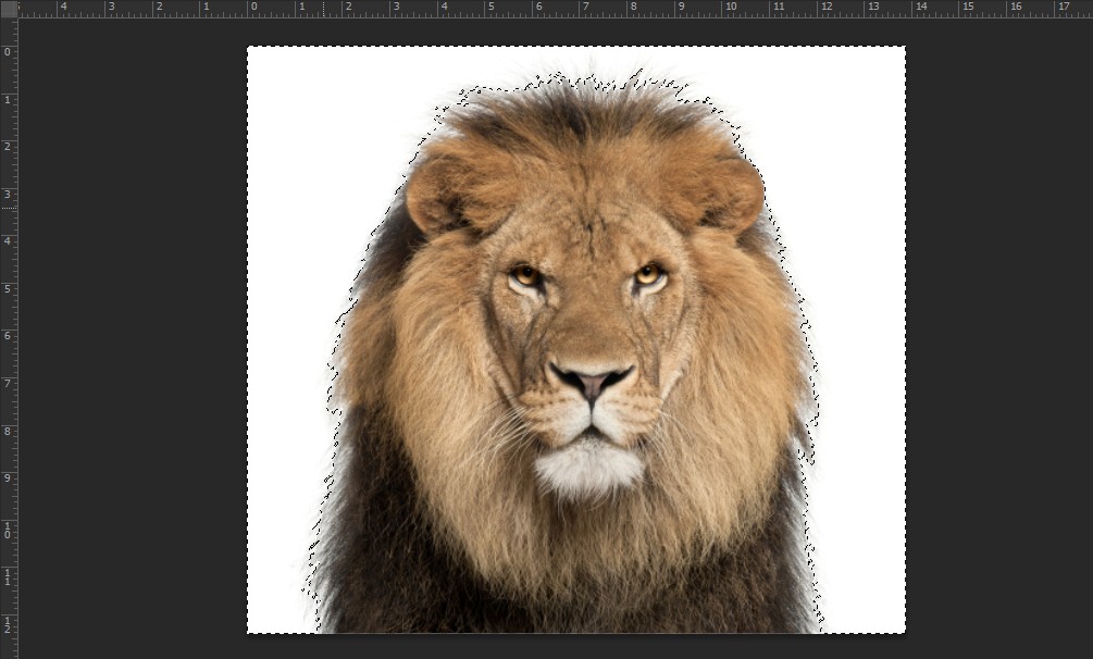 Đảo ngược vùng chọn trong Photoshop với Magic Wand Tool