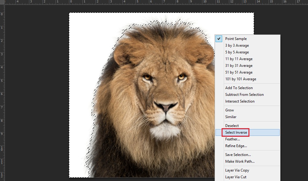 Đảo ngược vùng chọn trong Photoshop với Magic Wand Tool