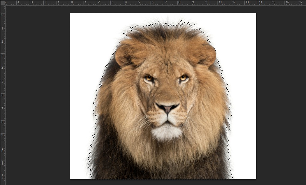 Đảo ngược vùng chọn trong Photoshop với Magic Wand Tool