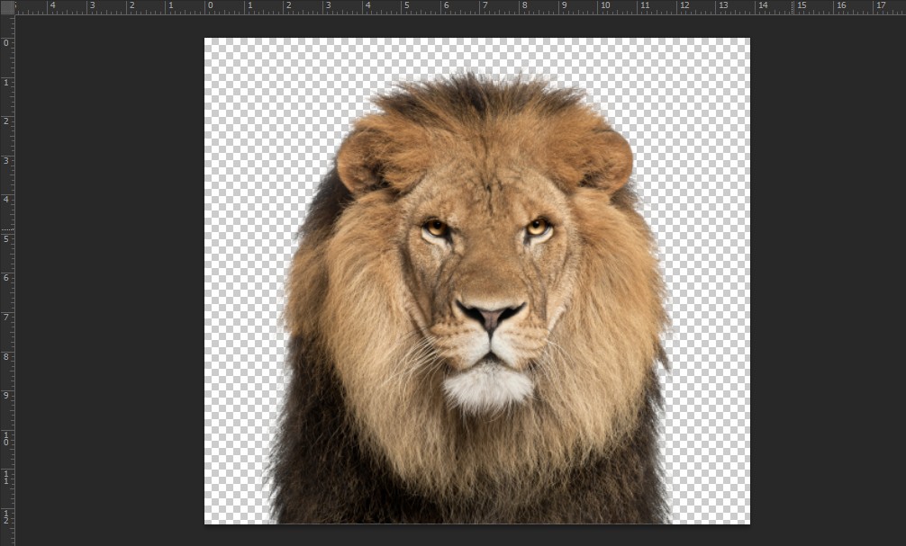 Đảo ngược vùng chọn trong Photoshop với Magic Wand Tool